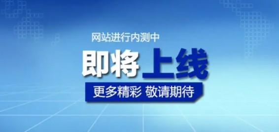 公司网站上线啦