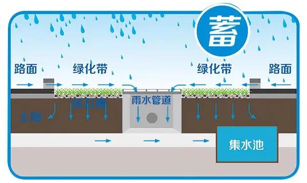 进行雨水收集的意义在哪里
